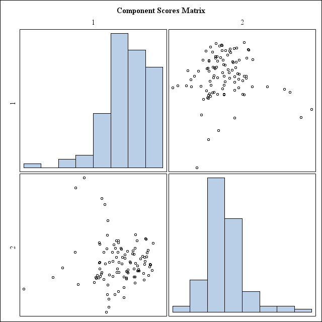 Principal Component Scores Matrix